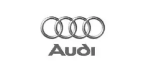 audi (1)