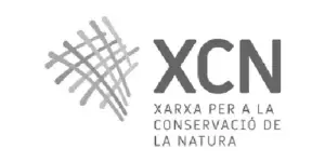 xcn (1)